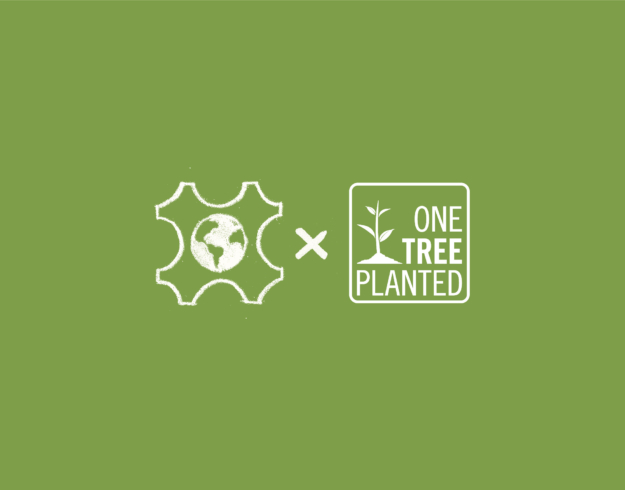 Celebrating Earth Day with One Tree Planted Partnership